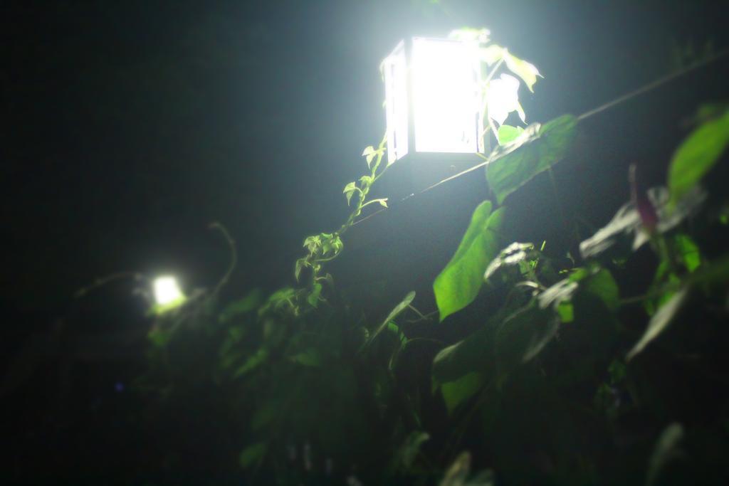 Time Story Villa Yangpyeong Bagian luar foto
